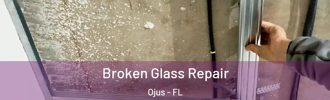  Broken Glass Repair Ojus - FL