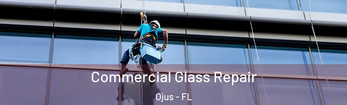  Commercial Glass Repair Ojus - FL