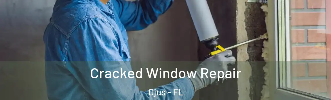  Cracked Window Repair Ojus - FL