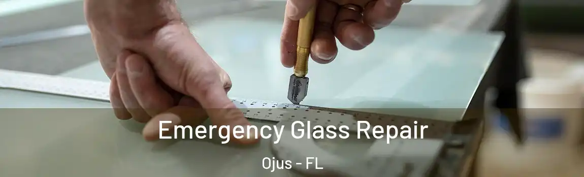  Emergency Glass Repair Ojus - FL