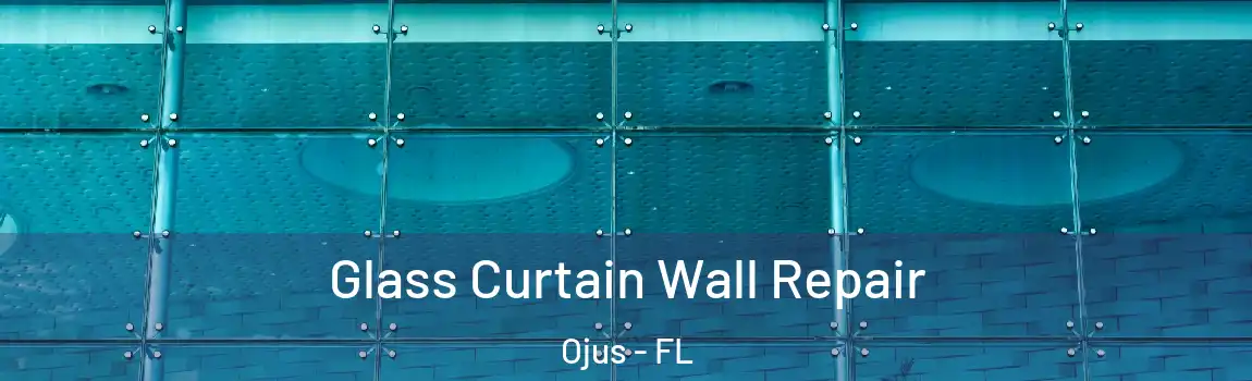  Glass Curtain Wall Repair Ojus - FL