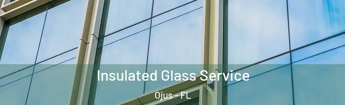  Insulated Glass Service Ojus - FL