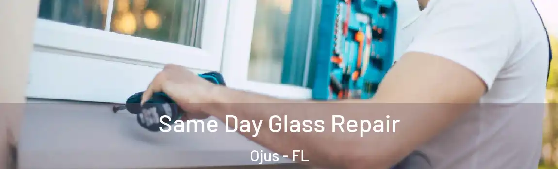 Same Day Glass Repair Ojus - FL