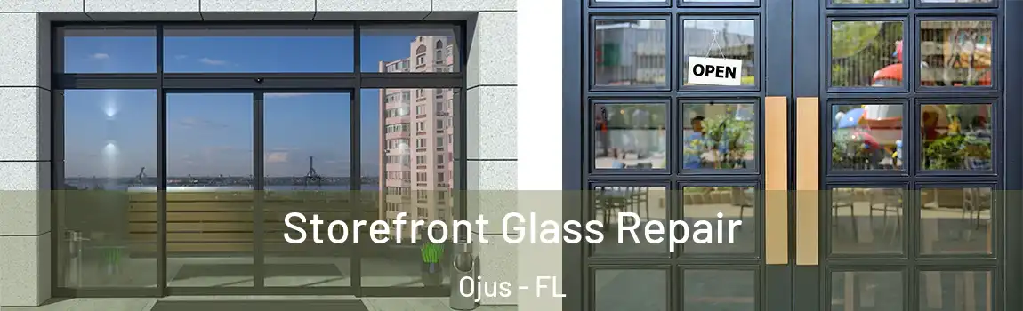  Storefront Glass Repair Ojus - FL